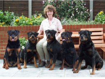 ChBertha ChMajical Mabel ChPansy Potter ChFonteyn & ChWinston
